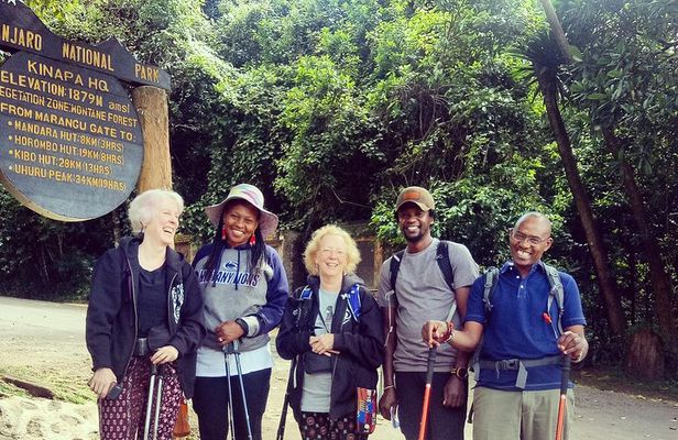 Kilimanjaro day hike.