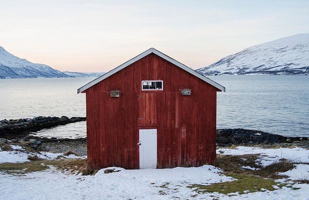 Winter Fjord Road Trip with Citizen Science with Wandering Owl