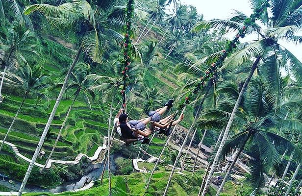 Jungle Swing & White Water Rafting Experience