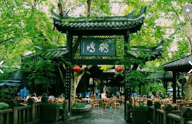 Chengdu Half-Day Cultural Leisure Tour w Personal Photo Shoot
