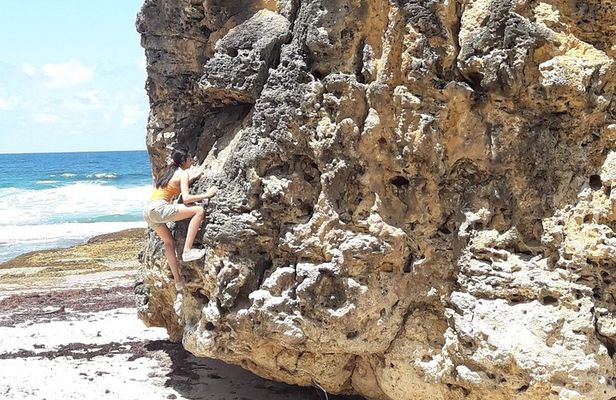 Tour Barbados Your Way