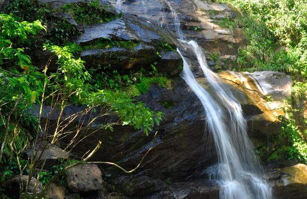 Tijuca Forest + Botanical Garden + Lage Park - by Alan Denis