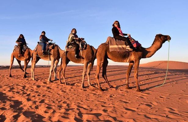 Trip To Sahara Days 3 / 2 Nights From Fez To Marrakech ( Luxury )
