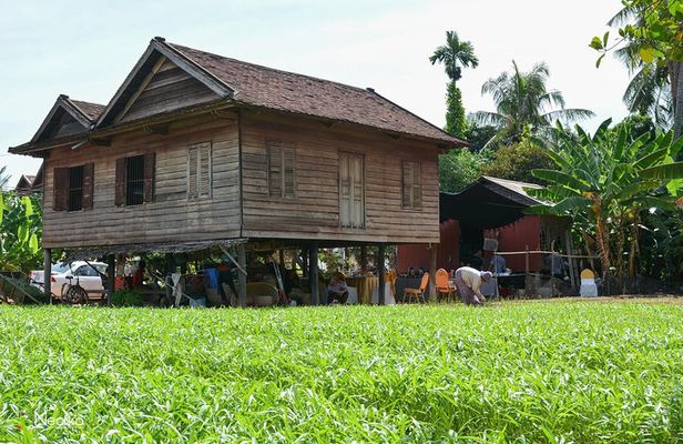 Cooking Class NEC - Market Tour - Cook with Purpose, Fun, Educational & Offer