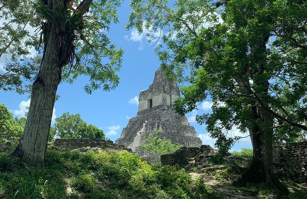 Tikal Shared Experience: Flight + One Day Tour from Antigua