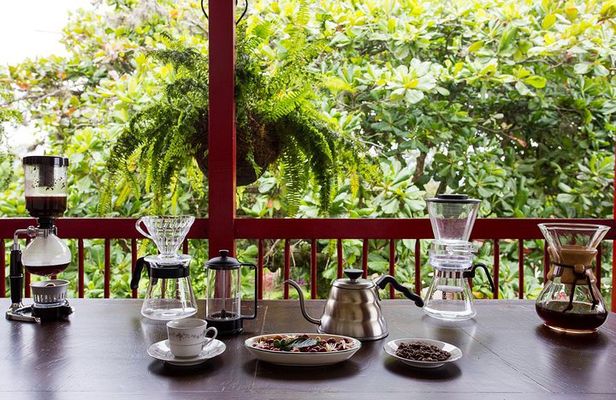 Coffee tour in the heart of the coffee region