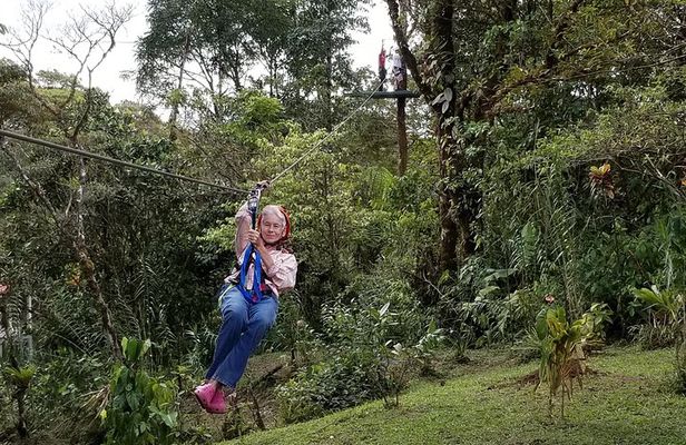 Zip-line Adventure