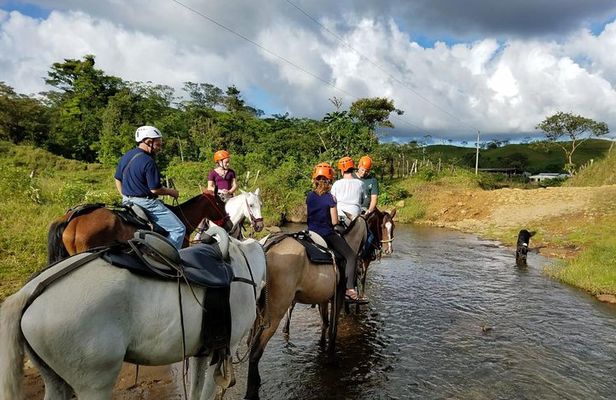 Horseback Riding Tour