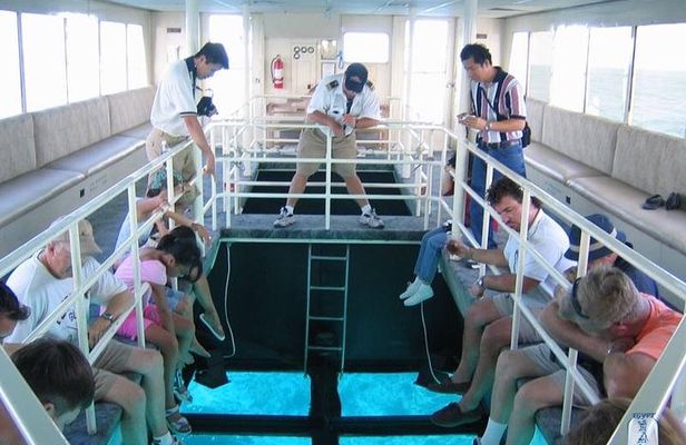 Glass Bottom Boat Trip in Sharm el Sheikh