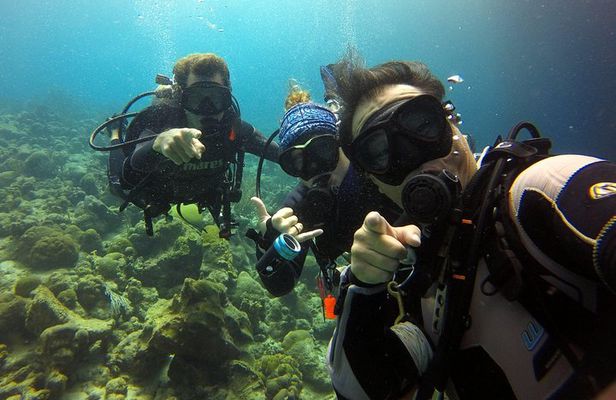 2 tank guided dive House Reef (Pierbaai Reef and Car Pile)