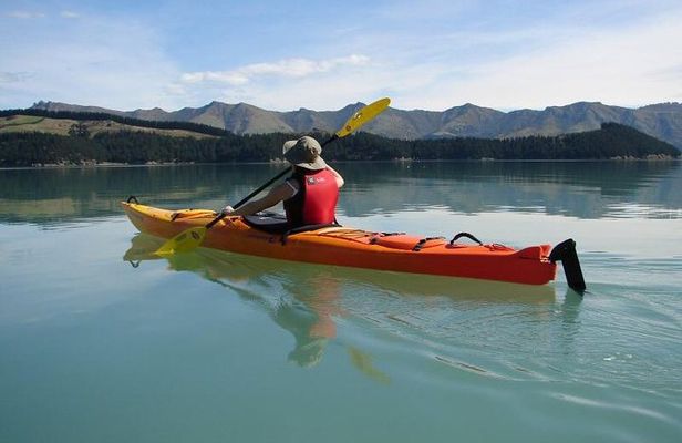 Sea Kayaking Christchurch, Lyttelton Harbour & Quail Island
