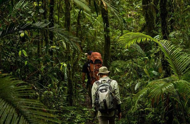 Sulawesi Tangkoko National Park Private Tour