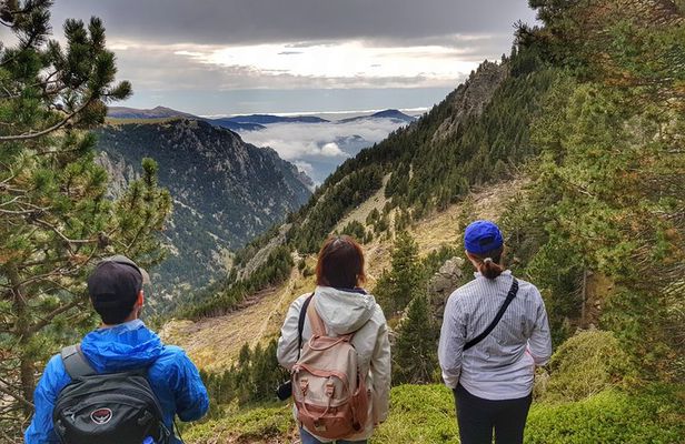 Pyrenees Mountain Train and Nature Walk