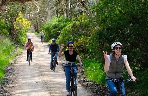 Discover McLaren Vale on eBikes - Full Day