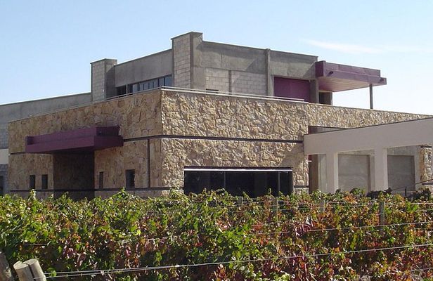 Mendoza Wine Tour with Lunch