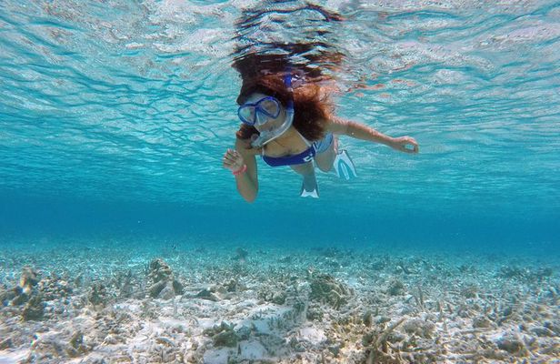 Guided Snorkeling Trip