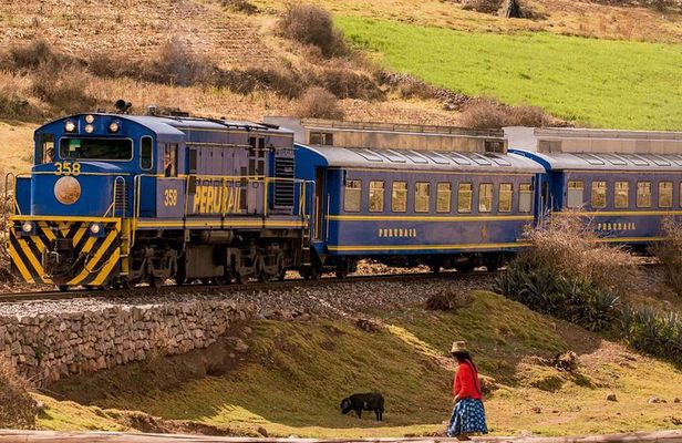 Excursion: Full Day Tour of Machu Picchu from Cusco