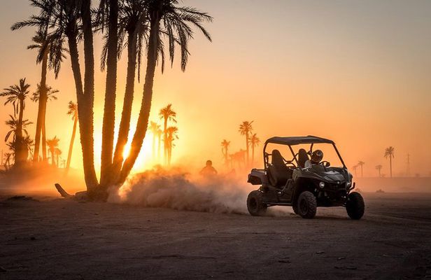 HALF DAY Buggy Palmeraie Marrakech