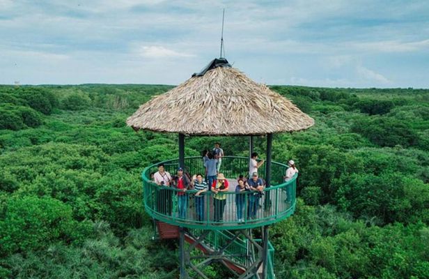 Private Can Gio Mangrove Eco Tour – Boat & Wildlife