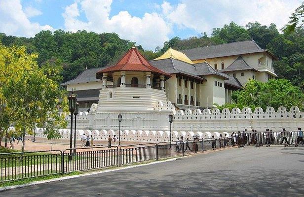 Kandy Private Day Tour Ahungalla/Kosgoda/Bentota/Beruwala/Kaluthara