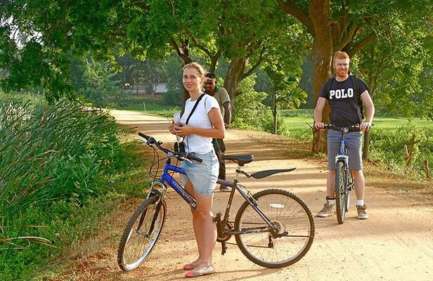 Cycling Expedition in Yala from Hambantota Harbor