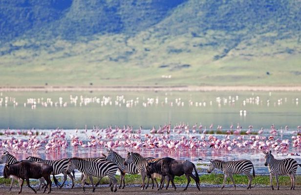 Ngorongoro Crater -Best safari