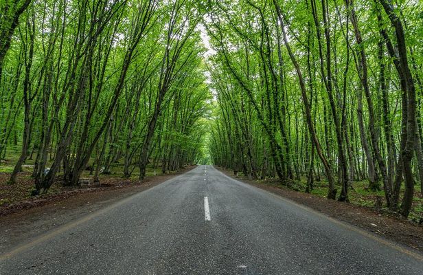 Guba, Candy Cane mountain, Khinaliq village with HOMEMADE lunch