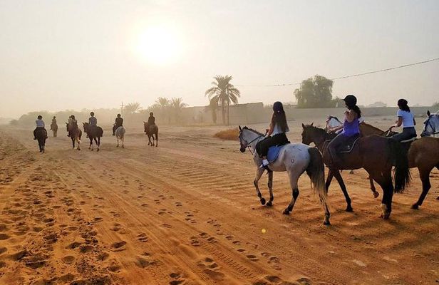 Desert Horse Riding Experience in Dubai