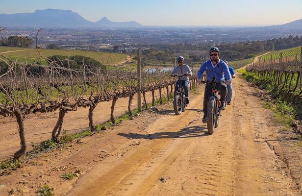 E-Bike Winelands Tour