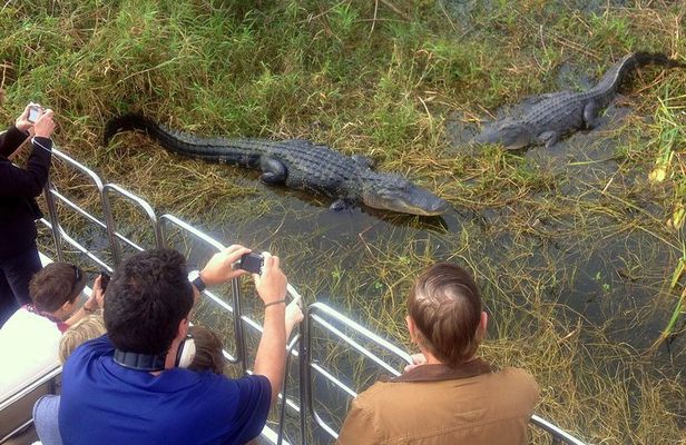 Airboat Tour