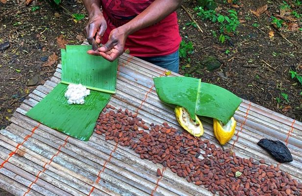 One Day Cocoa Farm Experience, Boti Waterfall,aburi Botanical Gardens