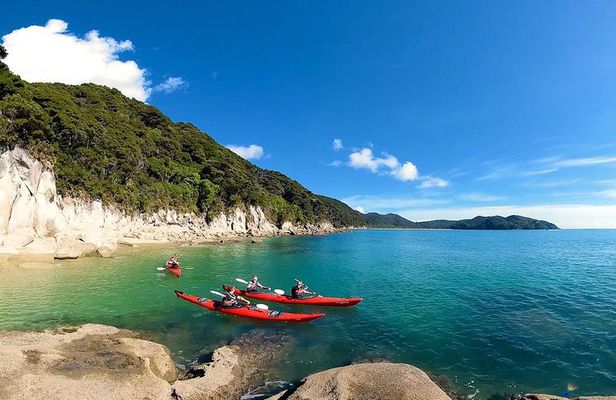 Oarsome Marine Reserve Kayak Tour