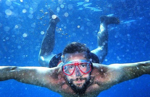 Private boat tour for small groups to Blue Lagoon and Solta Island