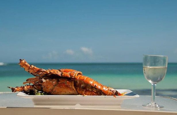 Saona Island Day Trip + Lobsters & Wine Included