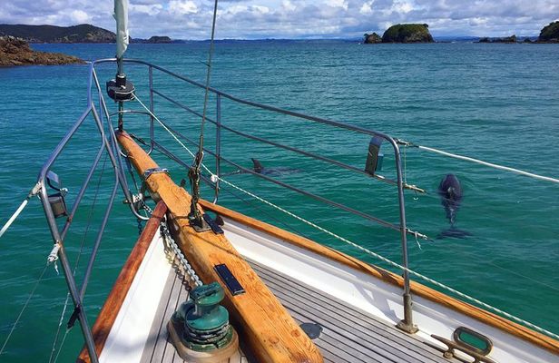 Private Charter Bay of Islands