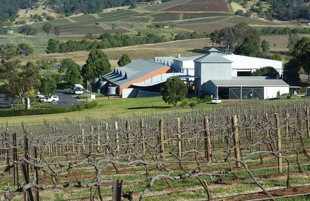 The REAL Hunter Valley Tour