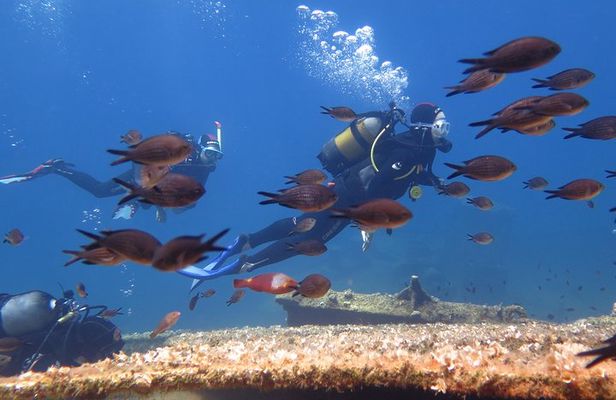 Try Scuba Diving in Amorgos