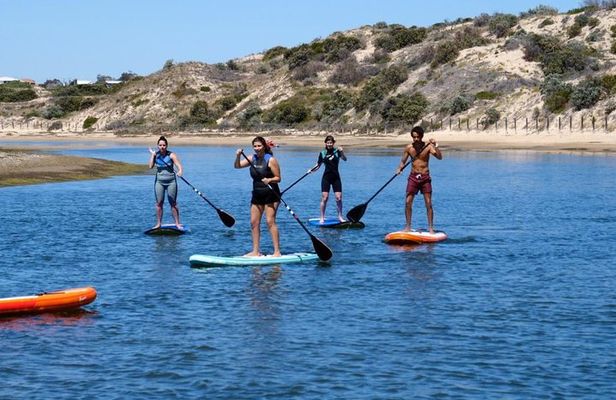 Coast to Vines: E-bike*, Paddle Board and Wine Tour (2 options)