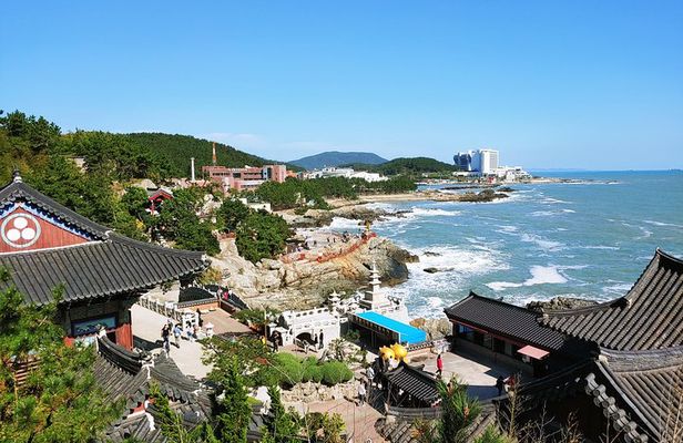 Cruise Layover Busan Highlight Tour with Sea temple and Gamcheon