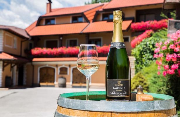 Plesivica Region Wine Tasting Half-day Tour 