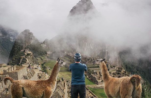 Exclusive Machu Picchu Full Day Tour