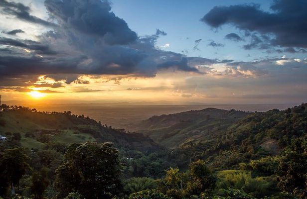 Quindío's Magical Towns experience from Salento