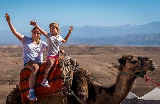 Sunset Camel Ride In Desert From Marrakech