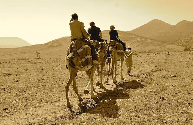 Atlas Mountains experience day trip 