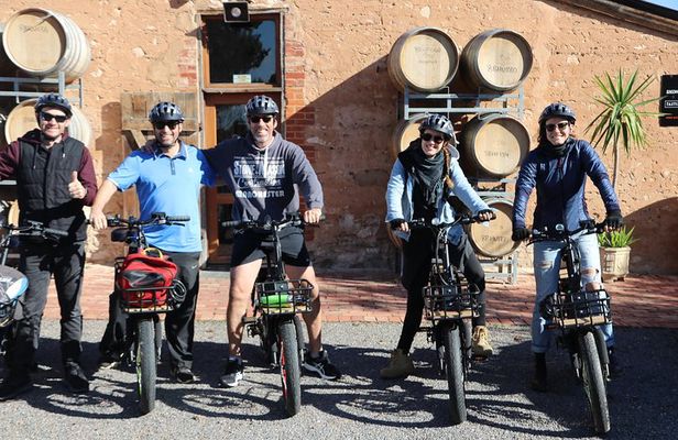 Best of McLaren Vale: E-bike and Wine Tour (2 options available)