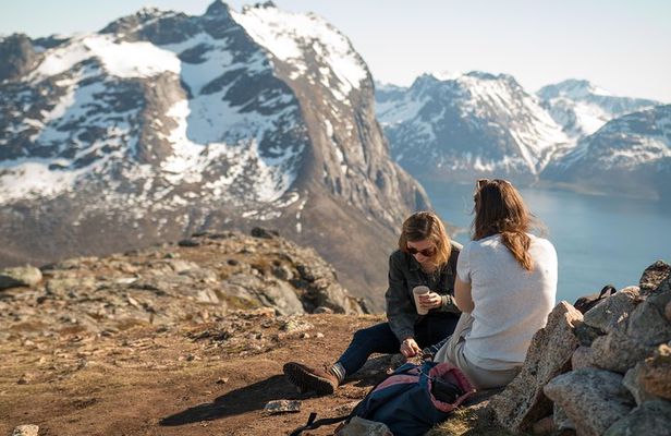 Tromsø: Summer Day Hike with Wandering Owl
