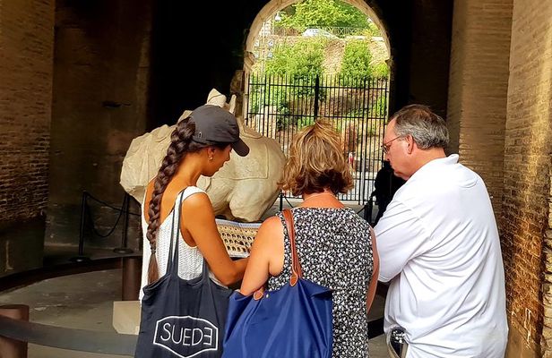 The best Colosseum tour with arena