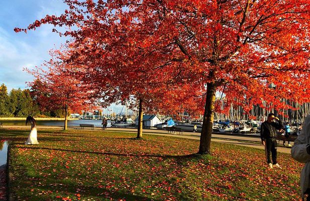 Vancouver, Grouse Mountain, Suspension &The Look Out Private Tour