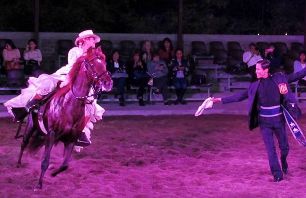 Lunch Show - Exhibition of Peruvian Horse with Pick up & drop off