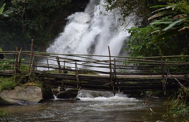 Doi Inthanon Day tour